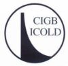 Logo ICOLD